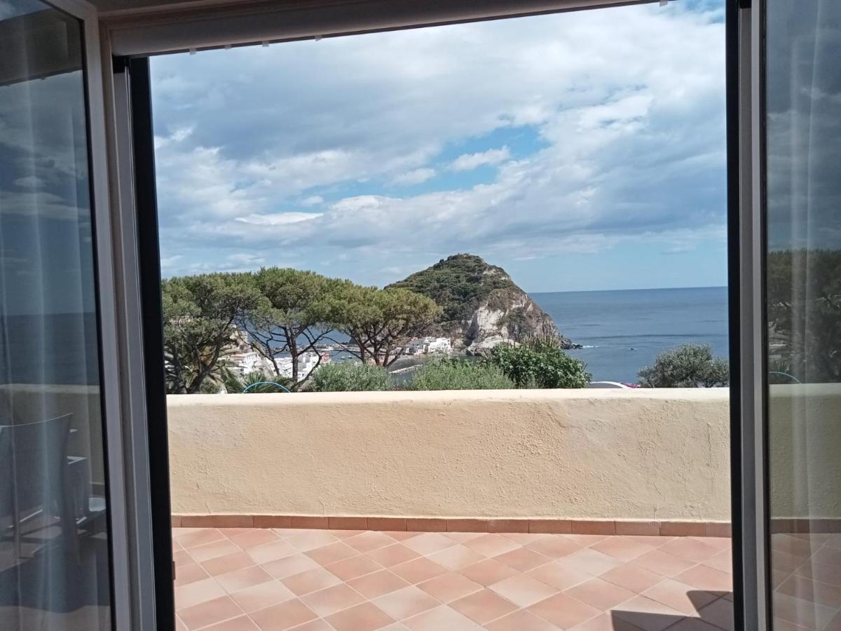 Parco Termale Tropical Bed and Breakfast Ischia Island Esterno foto