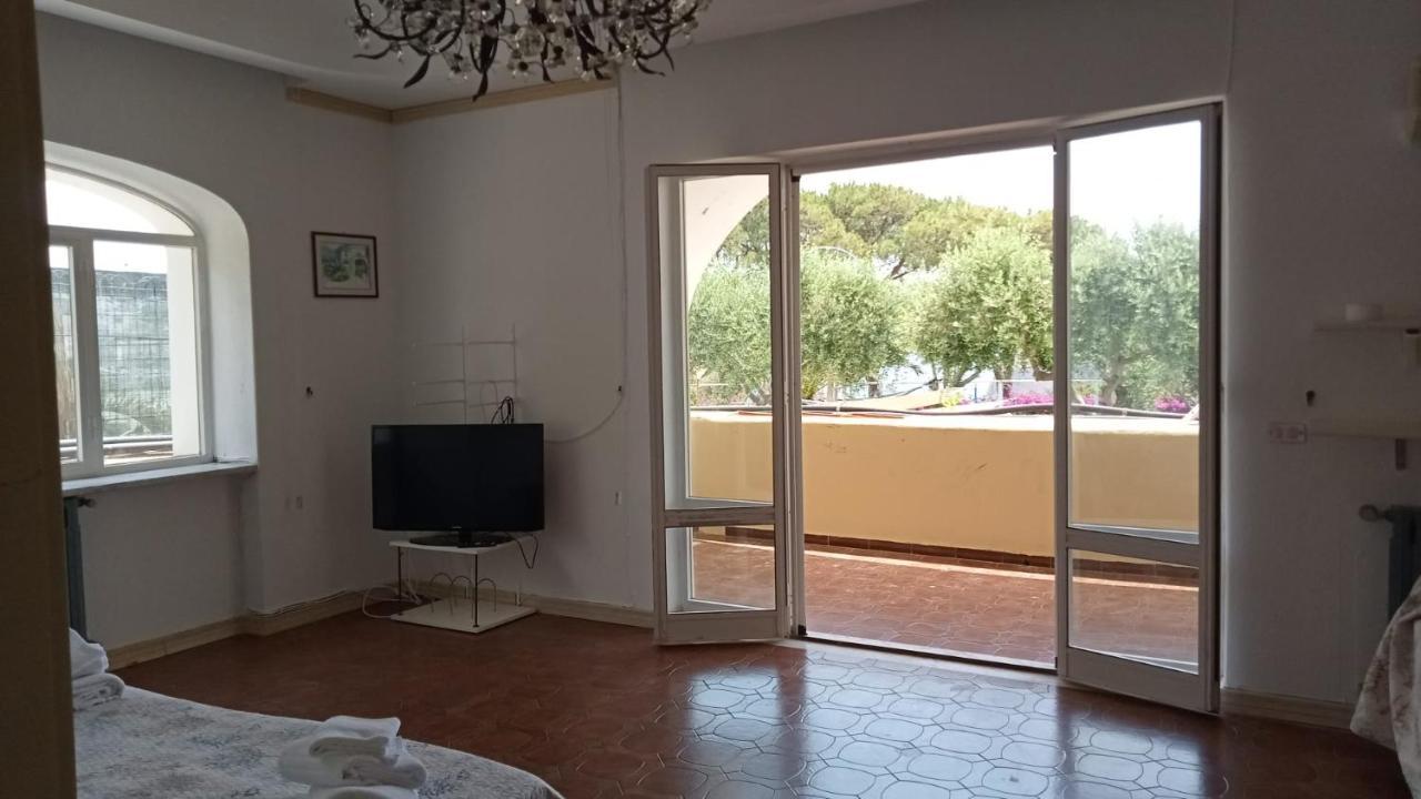 Parco Termale Tropical Bed and Breakfast Ischia Island Esterno foto