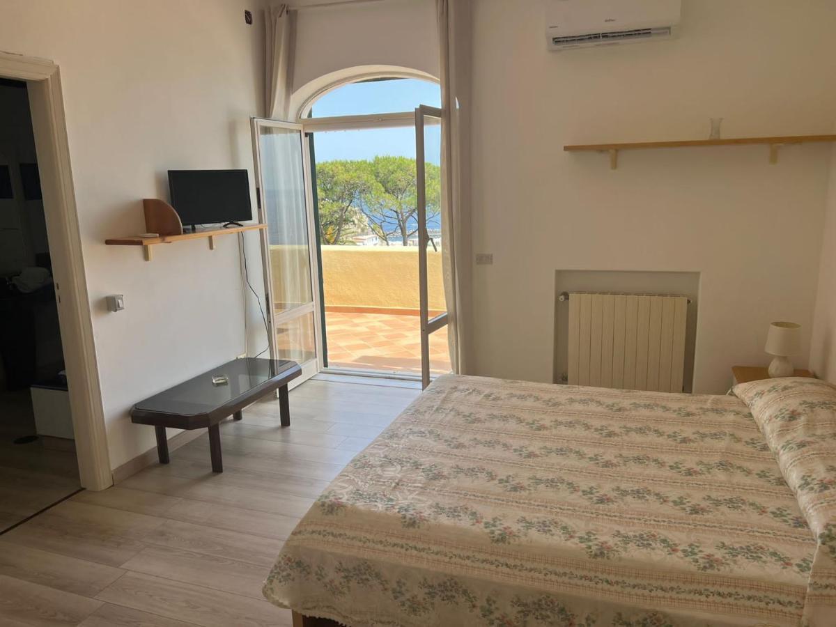 Parco Termale Tropical Bed and Breakfast Ischia Island Esterno foto