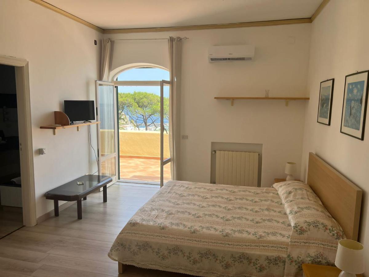 Parco Termale Tropical Bed and Breakfast Ischia Island Esterno foto